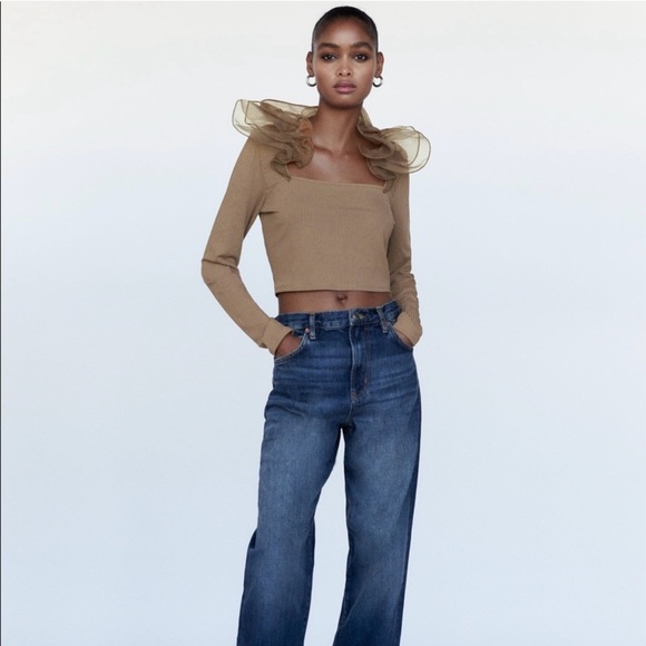 NWT Zara Brown Taupe Organza Long Sleeve Shirt Bloggers’ Favorite - Picture 7 of 11